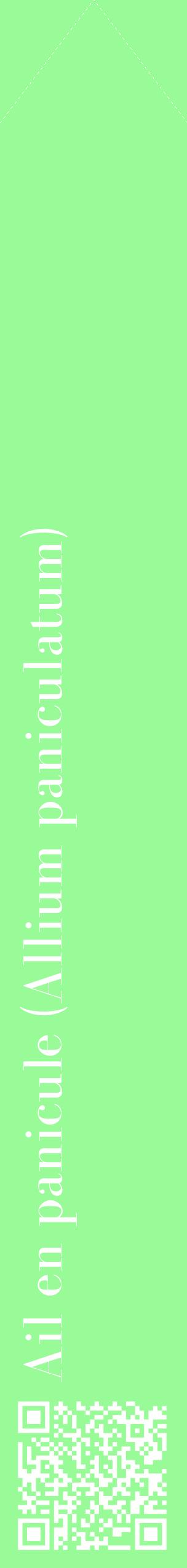 Étiquette de : Allium paniculatum - format c - style blanche14_simplebod avec qrcode et comestibilité