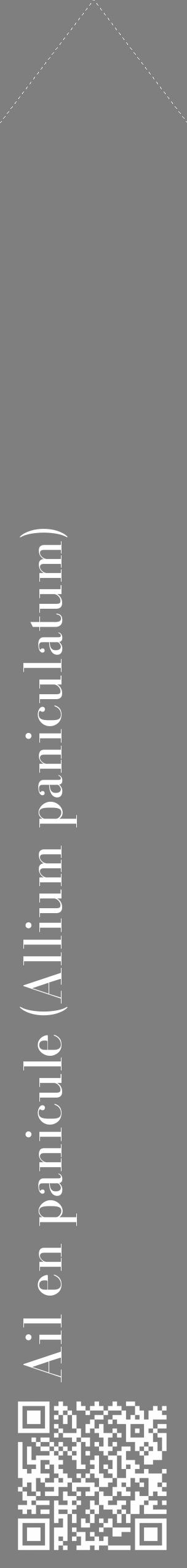 Étiquette de : Allium paniculatum - format c - style blanche31_simple_simplebod avec qrcode et comestibilité - position verticale