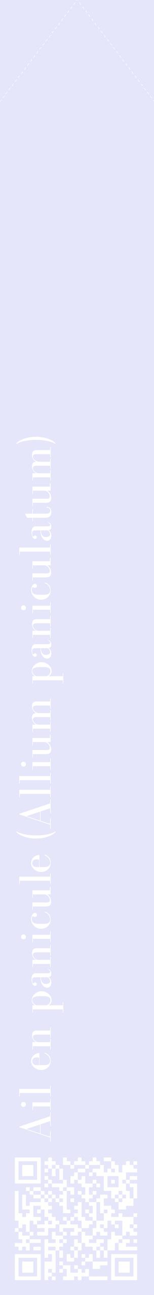 Étiquette de : Allium paniculatum - format c - style blanche55_simplebod avec qrcode et comestibilité