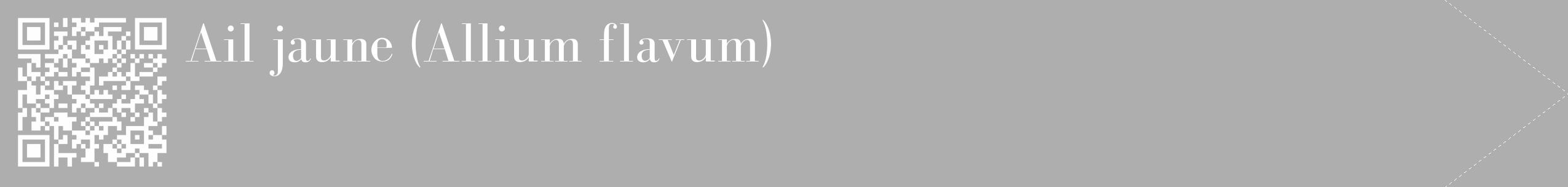 Étiquette de : Allium flavum - format c - style blanche53_simple_simplebod avec qrcode et comestibilité