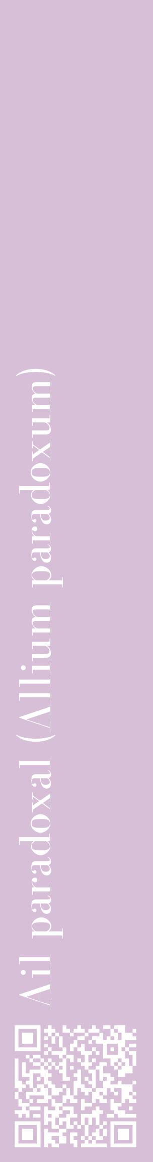 Étiquette de : Allium paradoxum - format c - style blanche54_basiquebod avec qrcode et comestibilité