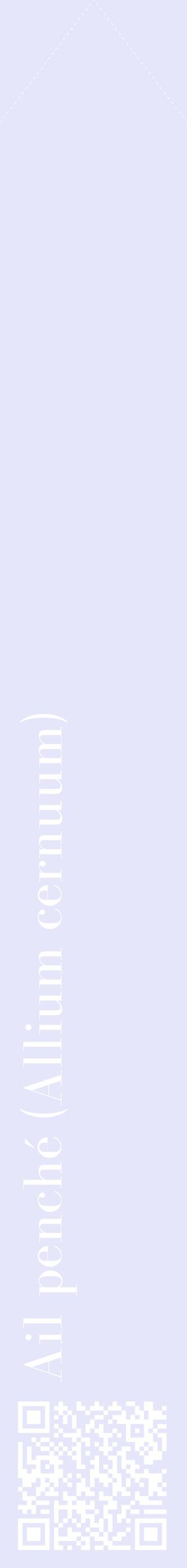 Étiquette de : Allium cernuum - format c - style blanche55_simplebod avec qrcode et comestibilité