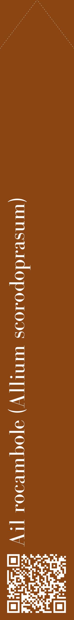 Étiquette de : Allium scorodoprasum - format c - style blanche30_simplebod avec qrcode et comestibilité
