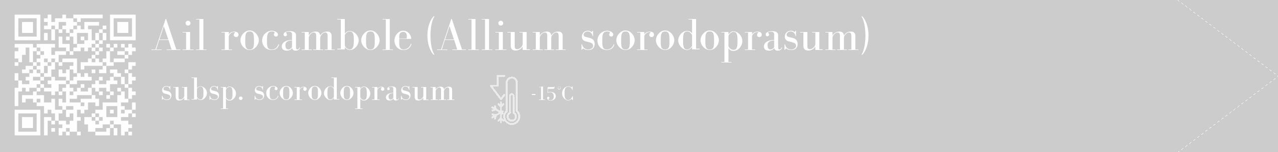 Étiquette de : Allium scorodoprasum subsp. scorodoprasum - format c - style blanche0_simple_simplebod avec qrcode et comestibilité