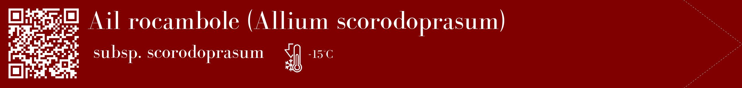 Étiquette de : Allium scorodoprasum subsp. scorodoprasum - format c - style blanche29_simple_simplebod avec qrcode et comestibilité