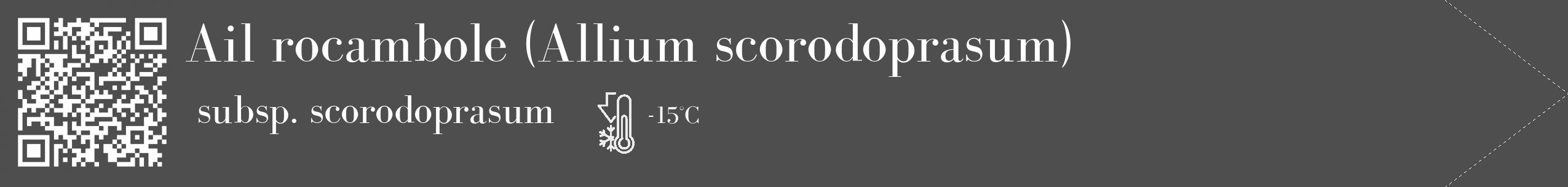 Étiquette de : Allium scorodoprasum subsp. scorodoprasum - format c - style blanche33_simple_simplebod avec qrcode et comestibilité