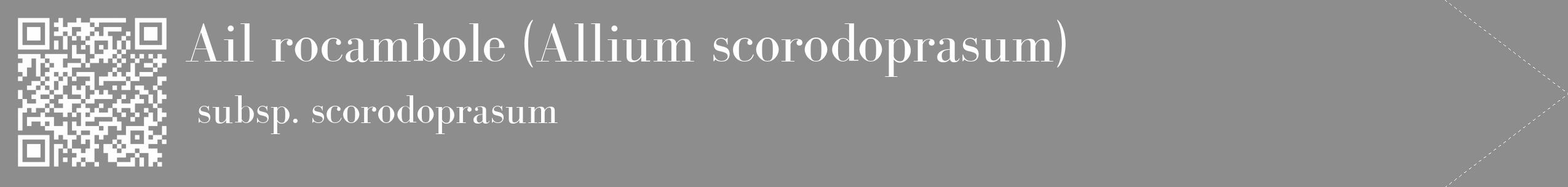 Étiquette de : Allium scorodoprasum subsp. scorodoprasum - format c - style blanche2_simple_simplebod avec qrcode et comestibilité