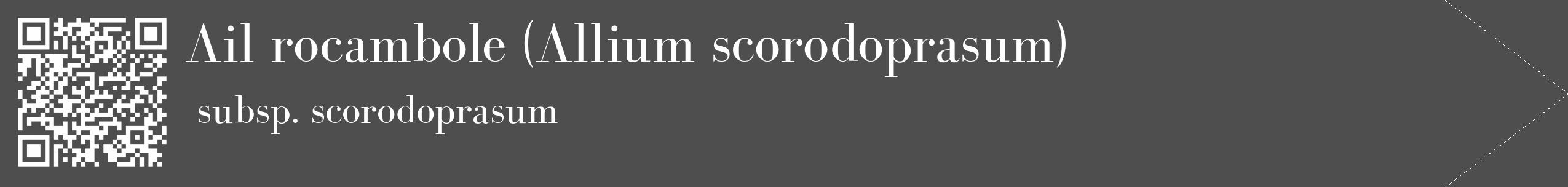 Étiquette de : Allium scorodoprasum subsp. scorodoprasum - format c - style blanche33_simple_simplebod avec qrcode et comestibilité