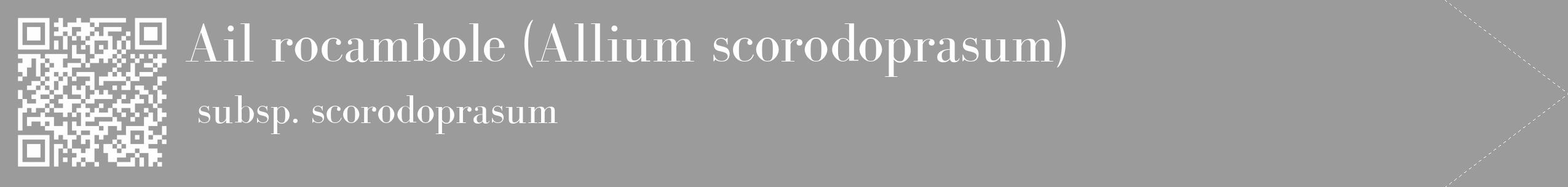 Étiquette de : Allium scorodoprasum subsp. scorodoprasum - format c - style blanche52_simple_simplebod avec qrcode et comestibilité