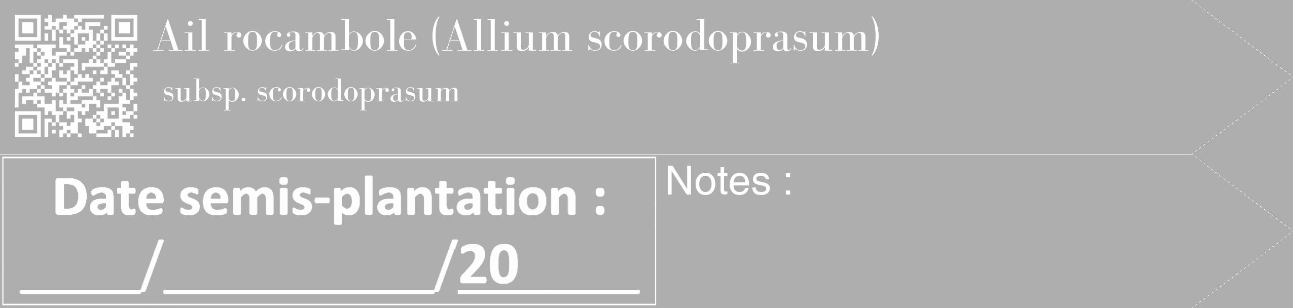 Étiquette de : Allium scorodoprasum subsp. scorodoprasum - format c - style blanche53_simple_simplebod avec qrcode et comestibilité