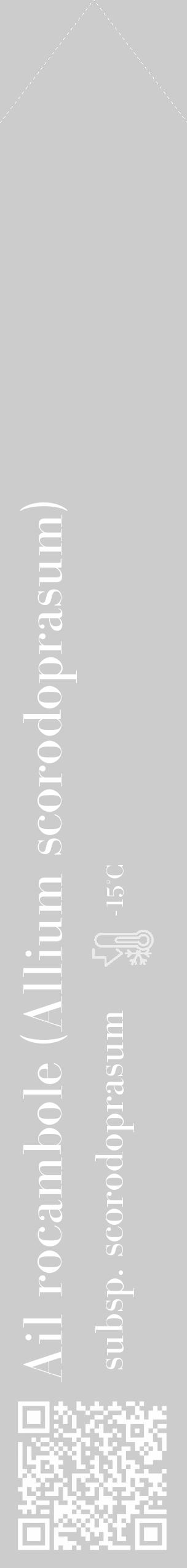Étiquette de : Allium scorodoprasum subsp. scorodoprasum - format c - style blanche0_simple_simplebod avec qrcode et comestibilité - position verticale