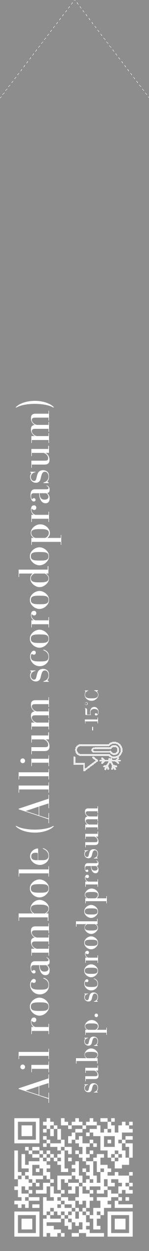 Étiquette de : Allium scorodoprasum subsp. scorodoprasum - format c - style blanche2_simple_simplebod avec qrcode et comestibilité - position verticale