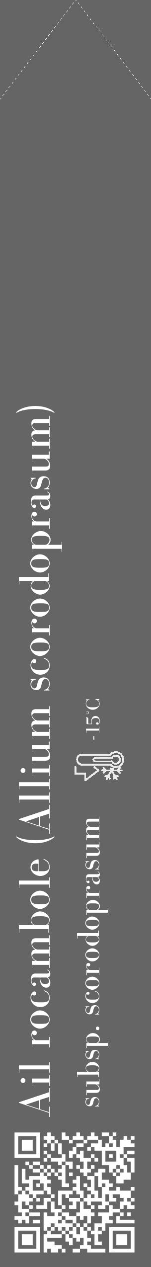 Étiquette de : Allium scorodoprasum subsp. scorodoprasum - format c - style blanche32_simple_simplebod avec qrcode et comestibilité - position verticale