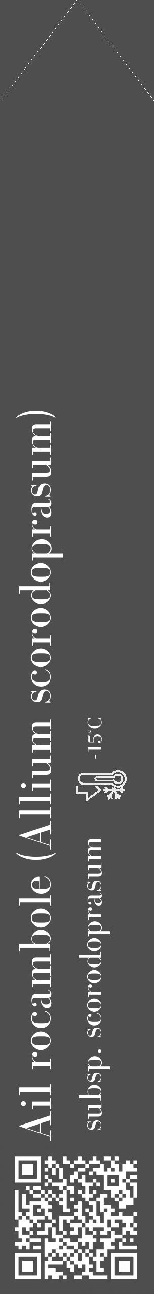 Étiquette de : Allium scorodoprasum subsp. scorodoprasum - format c - style blanche33_simple_simplebod avec qrcode et comestibilité - position verticale