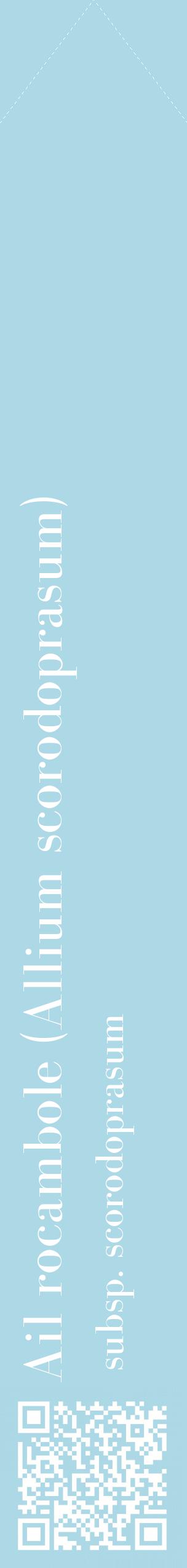 Étiquette de : Allium scorodoprasum subsp. scorodoprasum - format c - style blanche0_simplebod avec qrcode et comestibilité
