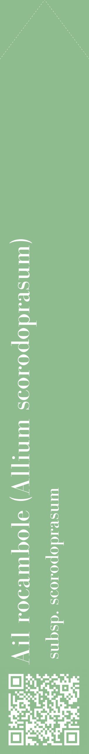 Étiquette de : Allium scorodoprasum subsp. scorodoprasum - format c - style blanche13_simplebod avec qrcode et comestibilité