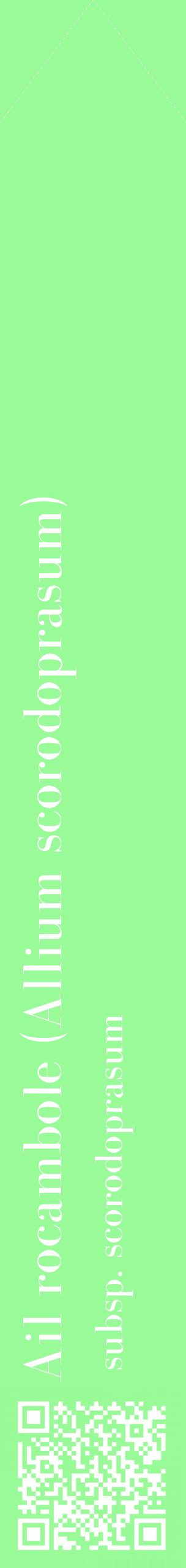 Étiquette de : Allium scorodoprasum subsp. scorodoprasum - format c - style blanche14_simplebod avec qrcode et comestibilité