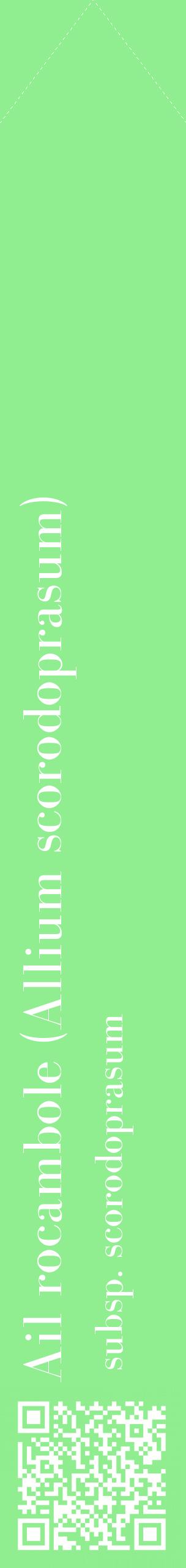 Étiquette de : Allium scorodoprasum subsp. scorodoprasum - format c - style blanche15_simplebod avec qrcode et comestibilité