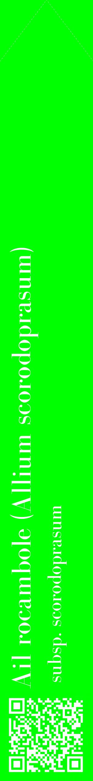 Étiquette de : Allium scorodoprasum subsp. scorodoprasum - format c - style blanche16_simplebod avec qrcode et comestibilité