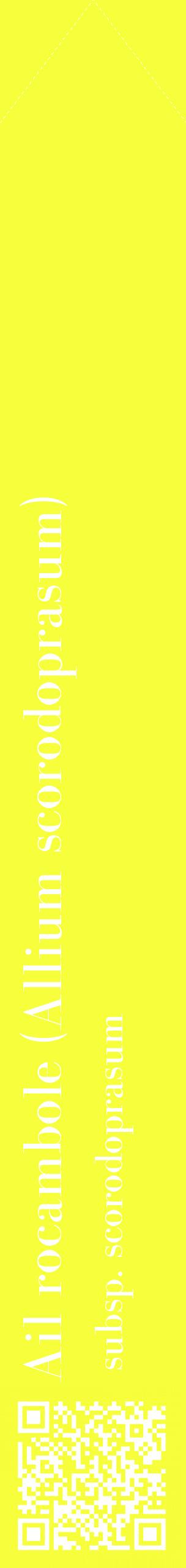 Étiquette de : Allium scorodoprasum subsp. scorodoprasum - format c - style blanche18_simplebod avec qrcode et comestibilité