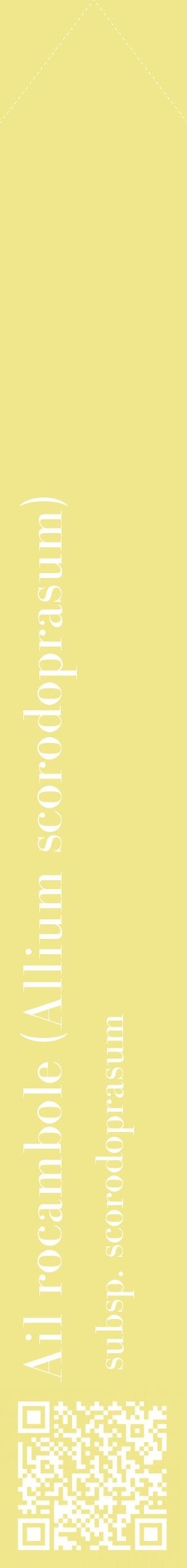 Étiquette de : Allium scorodoprasum subsp. scorodoprasum - format c - style blanche20_simplebod avec qrcode et comestibilité