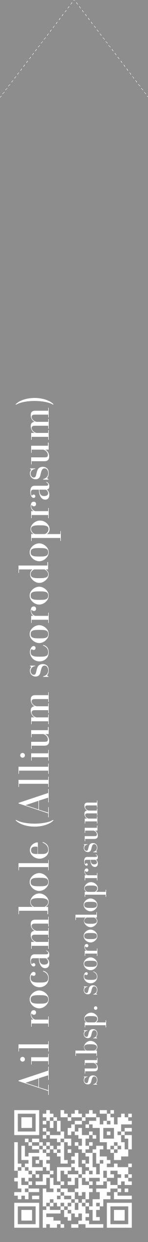Étiquette de : Allium scorodoprasum subsp. scorodoprasum - format c - style blanche2_simple_simplebod avec qrcode et comestibilité - position verticale