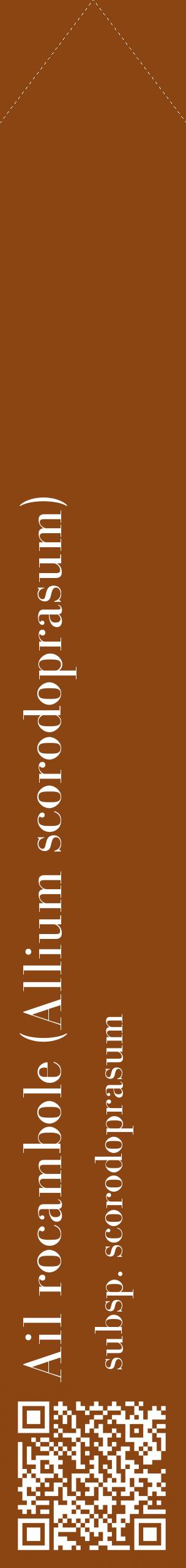 Étiquette de : Allium scorodoprasum subsp. scorodoprasum - format c - style blanche30_simplebod avec qrcode et comestibilité