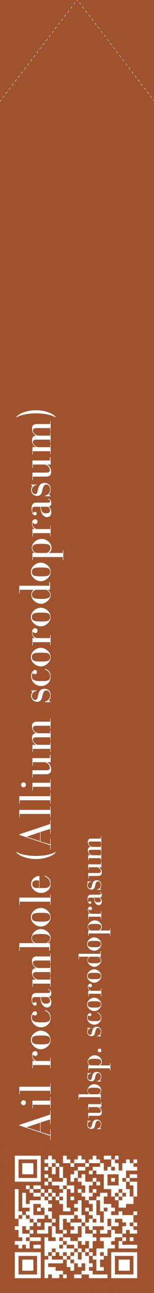 Étiquette de : Allium scorodoprasum subsp. scorodoprasum - format c - style blanche32_simplebod avec qrcode et comestibilité