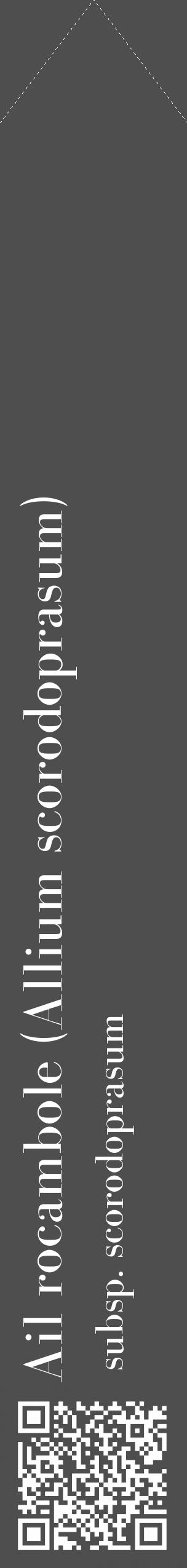 Étiquette de : Allium scorodoprasum subsp. scorodoprasum - format c - style blanche33_simple_simplebod avec qrcode et comestibilité - position verticale