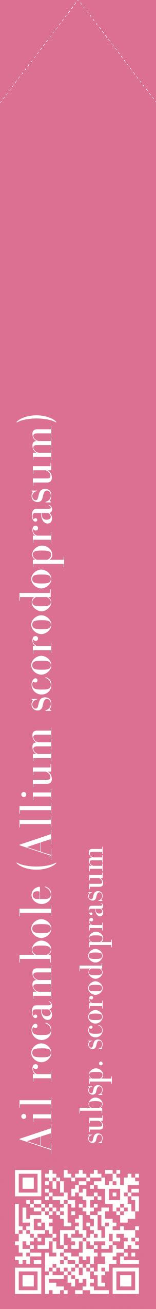 Étiquette de : Allium scorodoprasum subsp. scorodoprasum - format c - style blanche44_simplebod avec qrcode et comestibilité