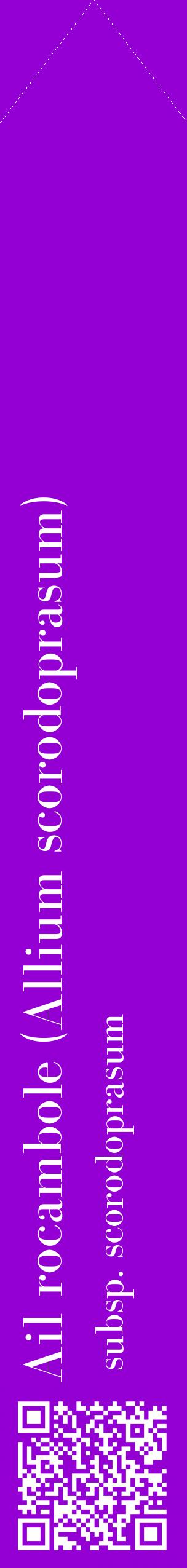 Étiquette de : Allium scorodoprasum subsp. scorodoprasum - format c - style blanche48_simplebod avec qrcode et comestibilité