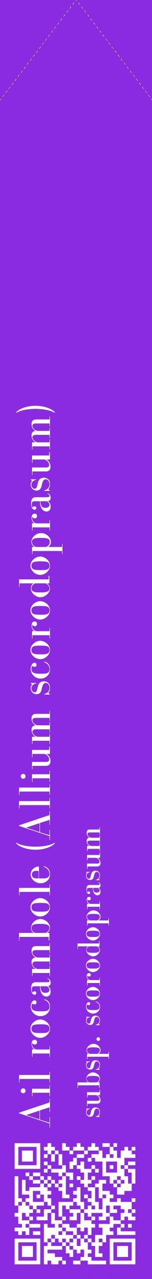 Étiquette de : Allium scorodoprasum subsp. scorodoprasum - format c - style blanche49_simplebod avec qrcode et comestibilité