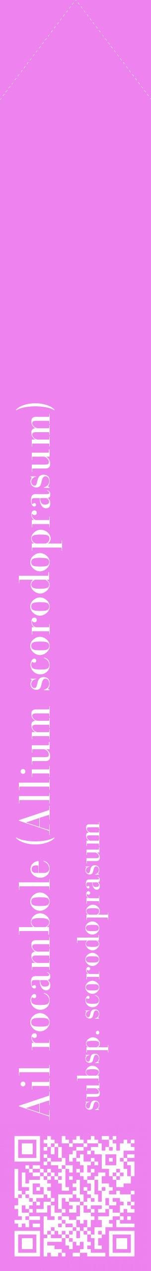 Étiquette de : Allium scorodoprasum subsp. scorodoprasum - format c - style blanche53_simplebod avec qrcode et comestibilité