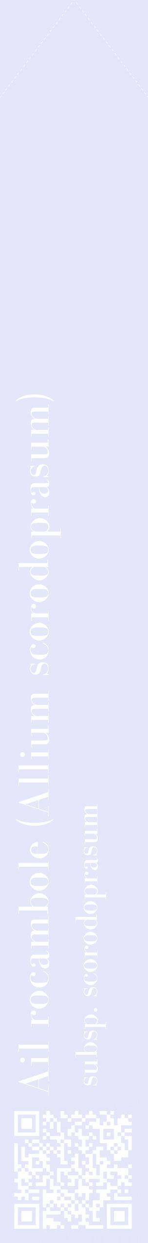 Étiquette de : Allium scorodoprasum subsp. scorodoprasum - format c - style blanche55_simplebod avec qrcode et comestibilité