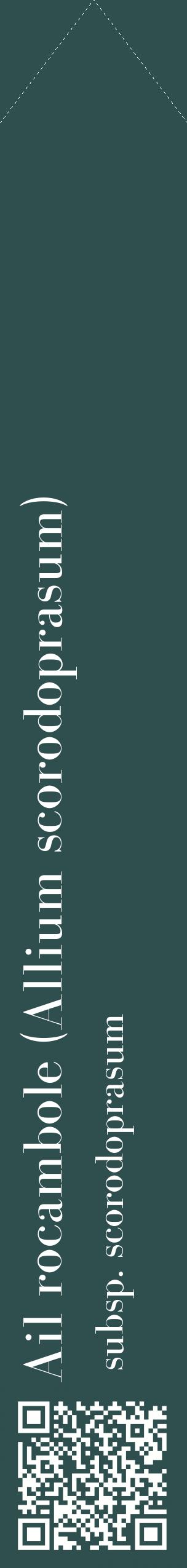 Étiquette de : Allium scorodoprasum subsp. scorodoprasum - format c - style blanche58_simplebod avec qrcode et comestibilité