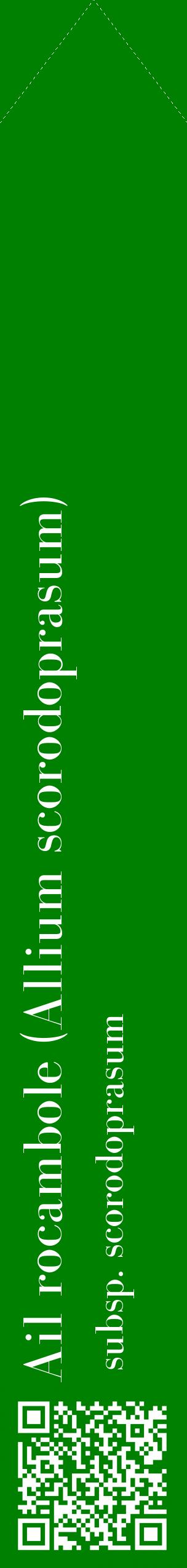 Étiquette de : Allium scorodoprasum subsp. scorodoprasum - format c - style blanche9_simplebod avec qrcode et comestibilité