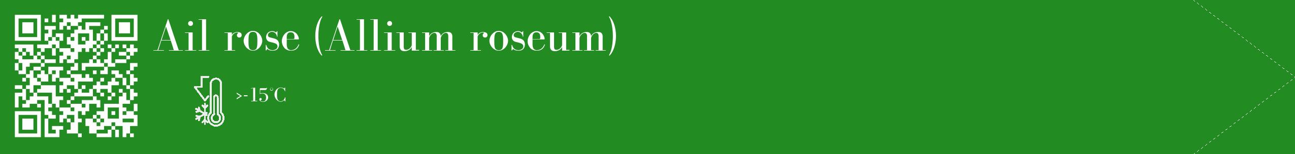 Étiquette de : Allium roseum - format c - style blanche10_simple_simplebod avec qrcode et comestibilité