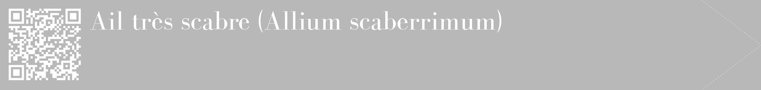 Étiquette de : Allium scaberrimum - format c - style blanche39_simple_simplebod avec qrcode et comestibilité