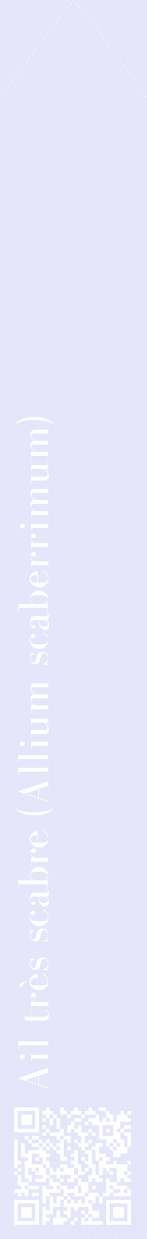 Étiquette de : Allium scaberrimum - format c - style blanche55_simplebod avec qrcode et comestibilité