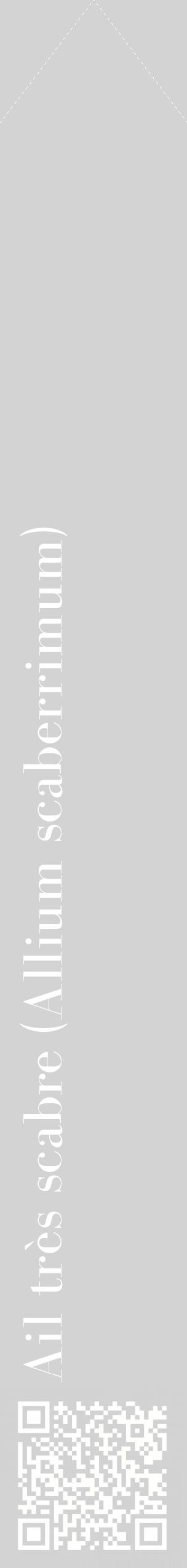 Étiquette de : Allium scaberrimum - format c - style blanche56_simplebod avec qrcode et comestibilité