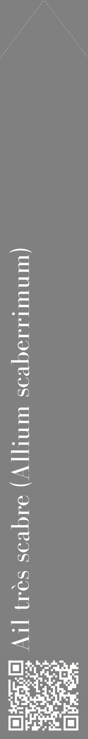 Étiquette de : Allium scaberrimum - format c - style blanche57_simplebod avec qrcode et comestibilité