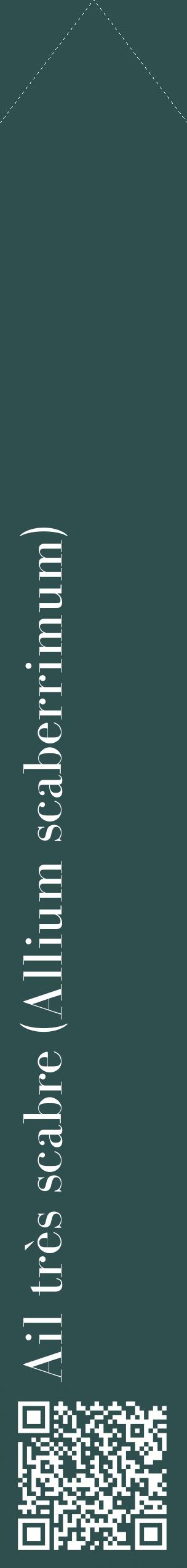 Étiquette de : Allium scaberrimum - format c - style blanche58_simplebod avec qrcode et comestibilité