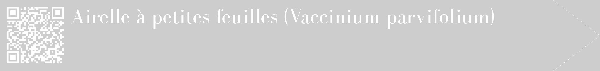 Étiquette de : Vaccinium parvifolium - format c - style blanche41_simple_simplebod avec qrcode et comestibilité
