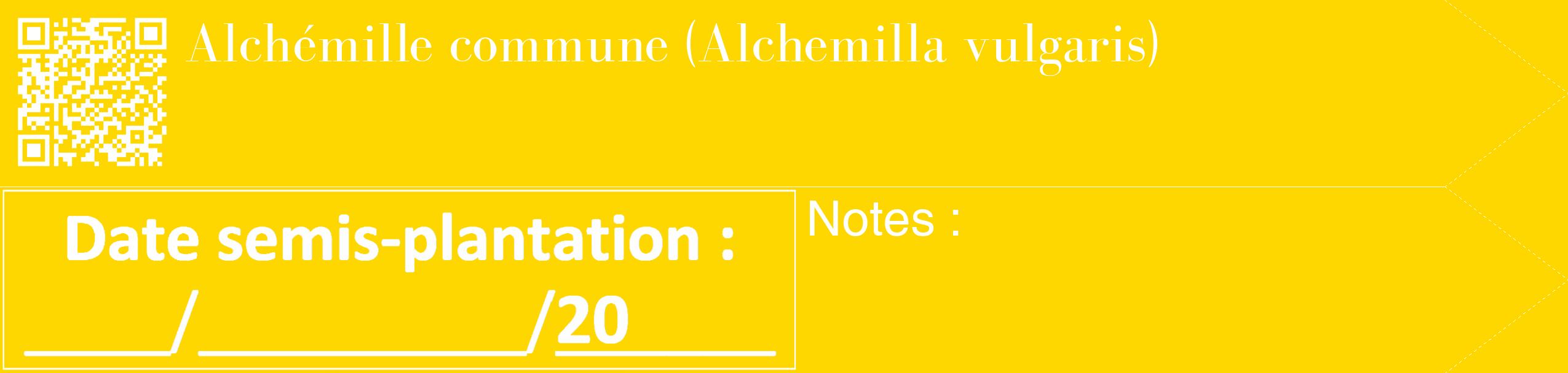 Étiquette de : Alchemilla vulgaris - format c - style blanche21_simple_simplebod avec qrcode et comestibilité