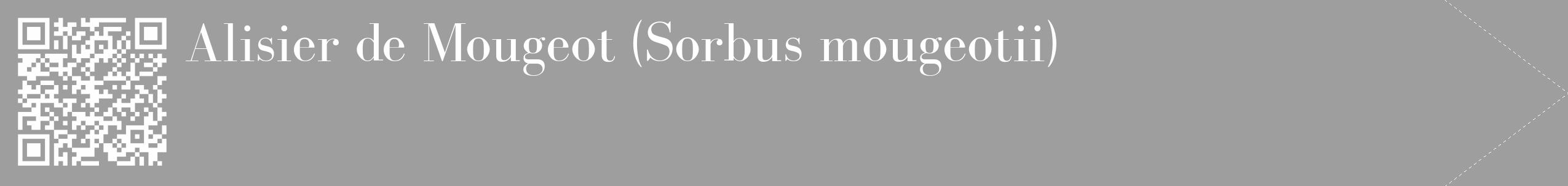 Étiquette de : Sorbus mougeotii - format c - style blanche23_simple_simplebod avec qrcode et comestibilité