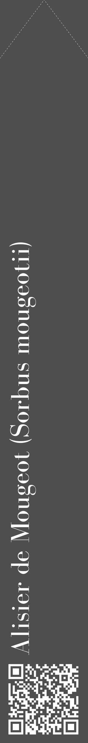 Étiquette de : Sorbus mougeotii - format c - style blanche33_simple_simplebod avec qrcode et comestibilité - position verticale