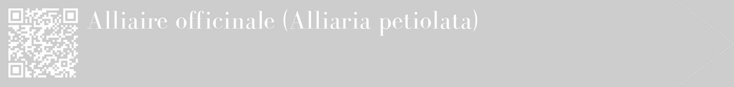 Étiquette de : Alliaria petiolata - format c - style blanche0_simple_simplebod avec qrcode et comestibilité