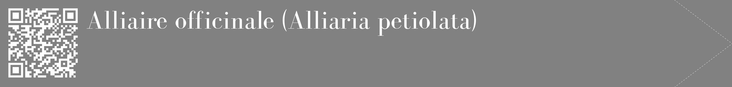 Étiquette de : Alliaria petiolata - format c - style blanche50_simple_simplebod avec qrcode et comestibilité