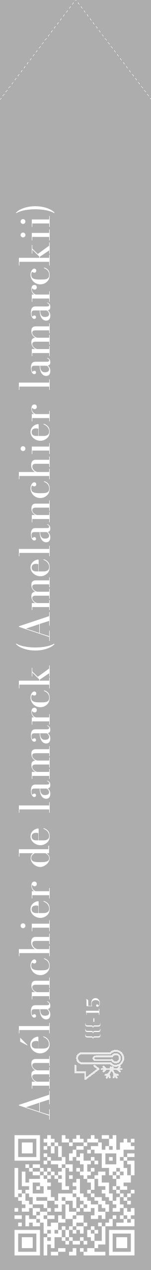 Étiquette de : Amelanchier lamarckii - format c - style blanche22_simple_simplebod avec qrcode et comestibilité - position verticale