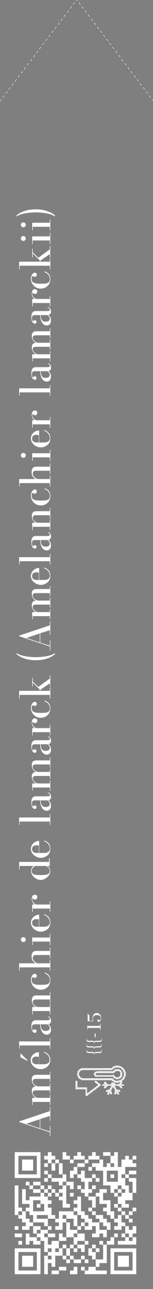 Étiquette de : Amelanchier lamarckii - format c - style blanche31_simple_simplebod avec qrcode et comestibilité - position verticale